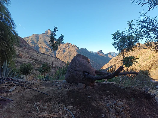 Zona de montaña con cartel de águila